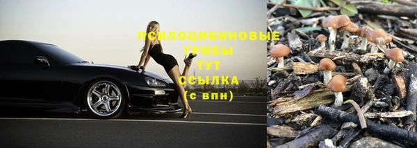 гашиш Богородицк