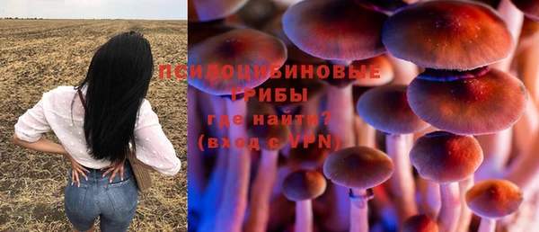 спайс Богданович