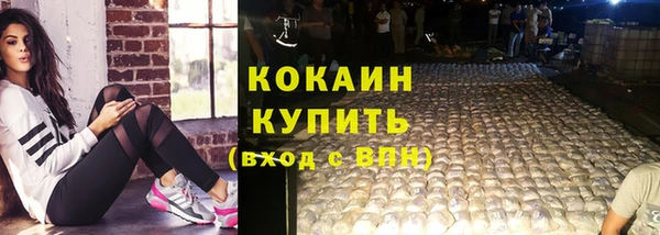 спайс Богданович