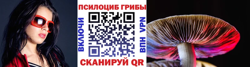 Псилоцибиновые грибы Magic Shrooms  закладки  мега ONION  Тюмень 